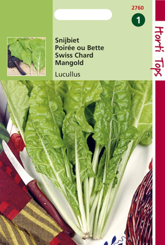 Swiss Chard Lucullus (Beta vulgaris) 400 seeds HT